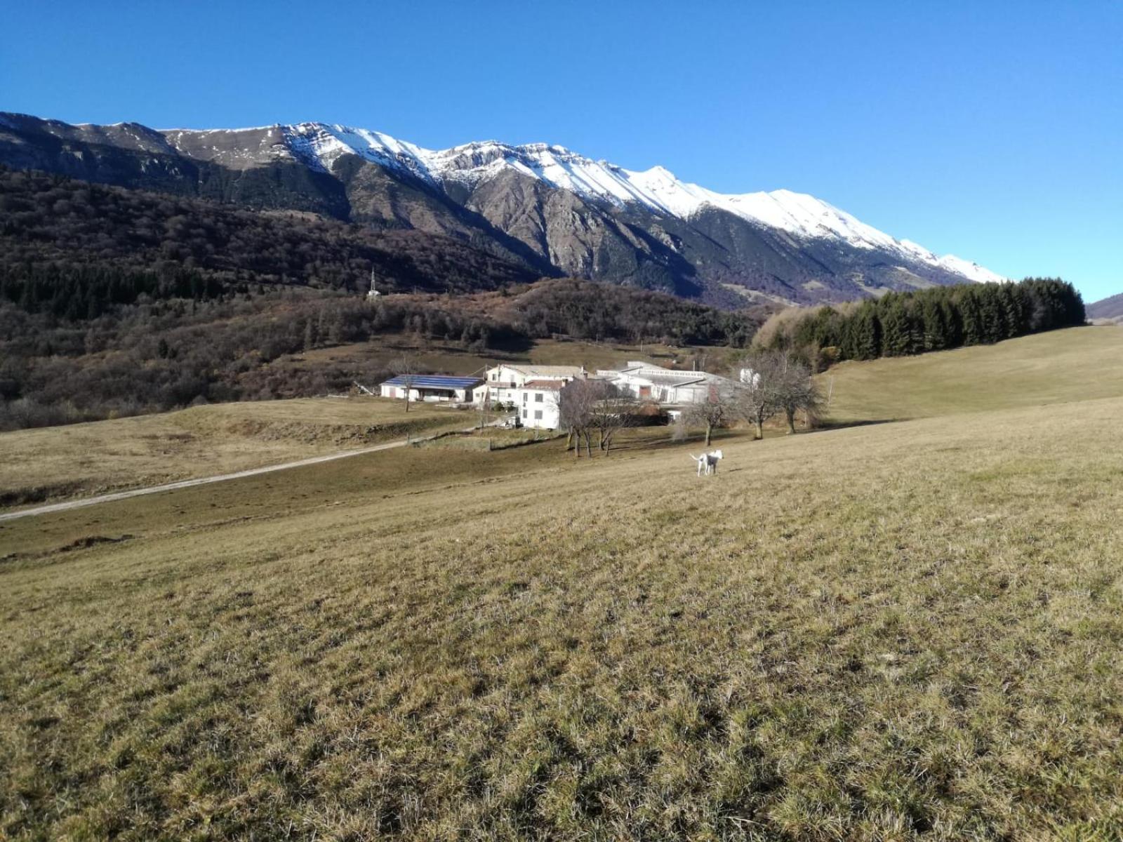 Agriturismo Preele Villa Ferrara di Monte Baldo Buitenkant foto