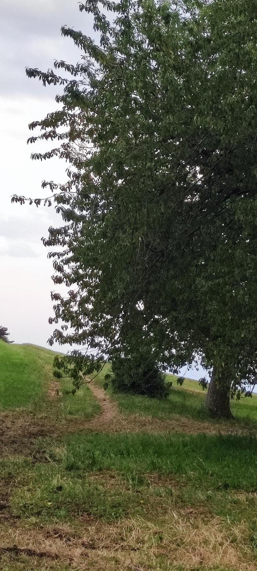 Agriturismo Preele Villa Ferrara di Monte Baldo Buitenkant foto